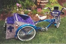 velo kitch.jpg
